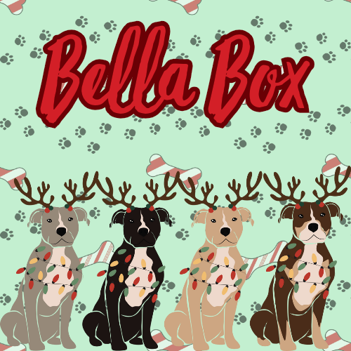 Bella Box - Holiday Edition