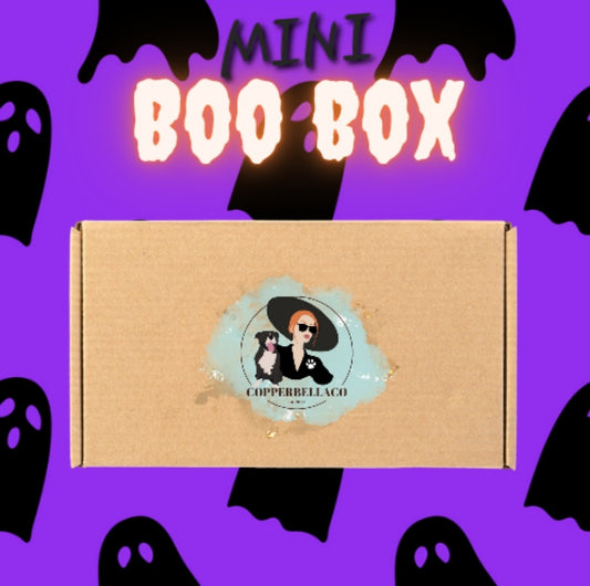 Mini Boo Boxes